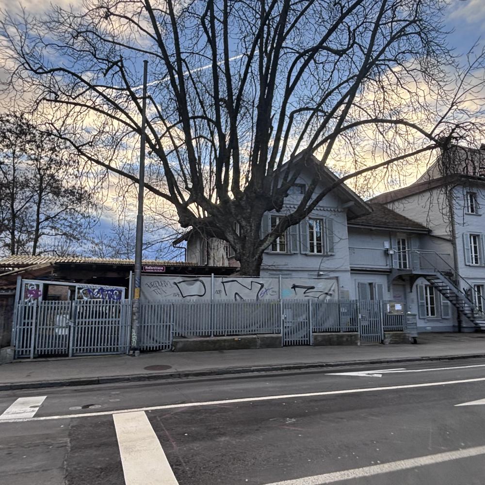 Zum 40. Jubiläum: Tag der offenen Tür bei CONTACT Anlaufstelle Bern